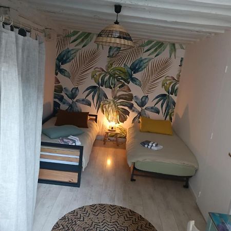 Le Logis De La Rue Des Arts Apartment Blois Ngoại thất bức ảnh