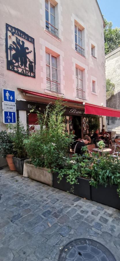 Le Logis De La Rue Des Arts Apartment Blois Ngoại thất bức ảnh