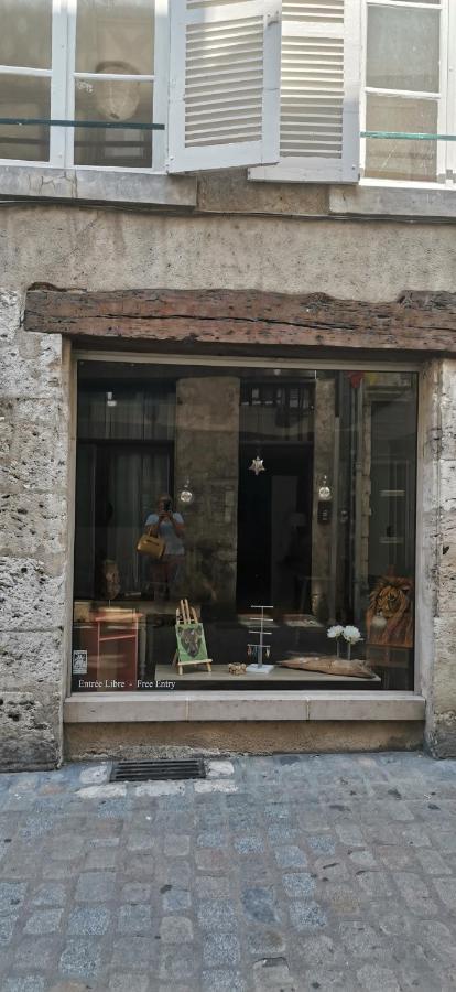 Le Logis De La Rue Des Arts Apartment Blois Ngoại thất bức ảnh
