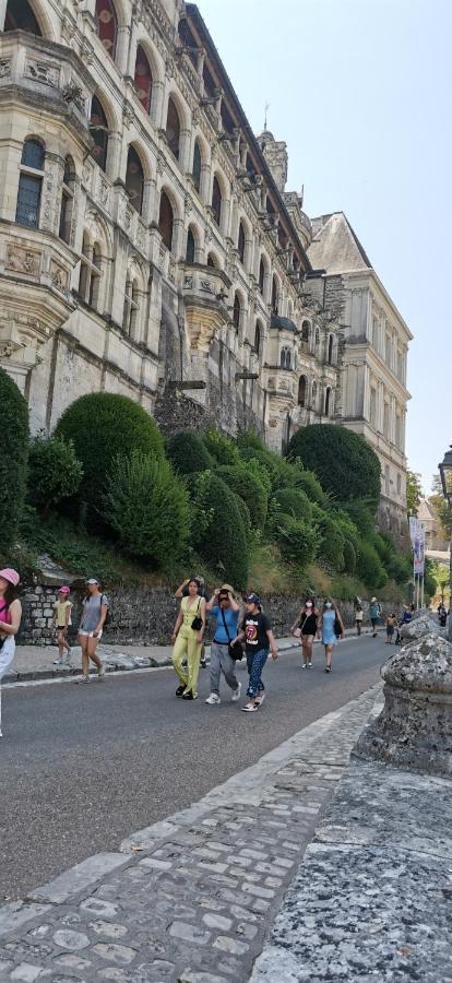 Le Logis De La Rue Des Arts Apartment Blois Ngoại thất bức ảnh