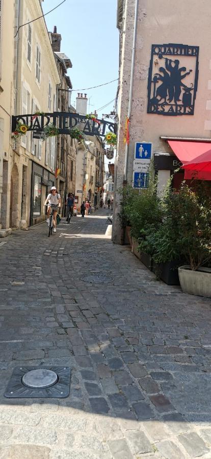 Le Logis De La Rue Des Arts Apartment Blois Ngoại thất bức ảnh