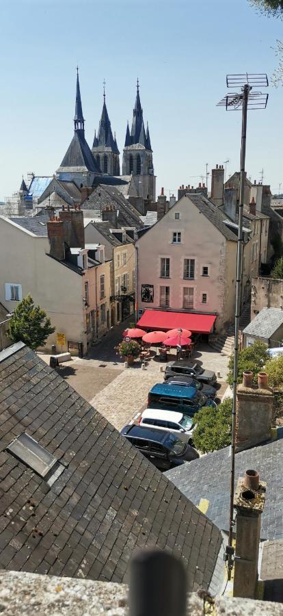 Le Logis De La Rue Des Arts Apartment Blois Ngoại thất bức ảnh