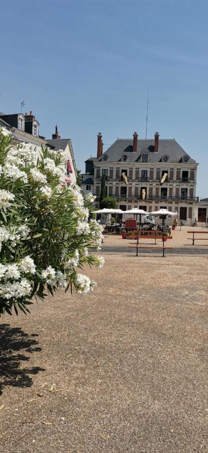 Le Logis De La Rue Des Arts Apartment Blois Ngoại thất bức ảnh