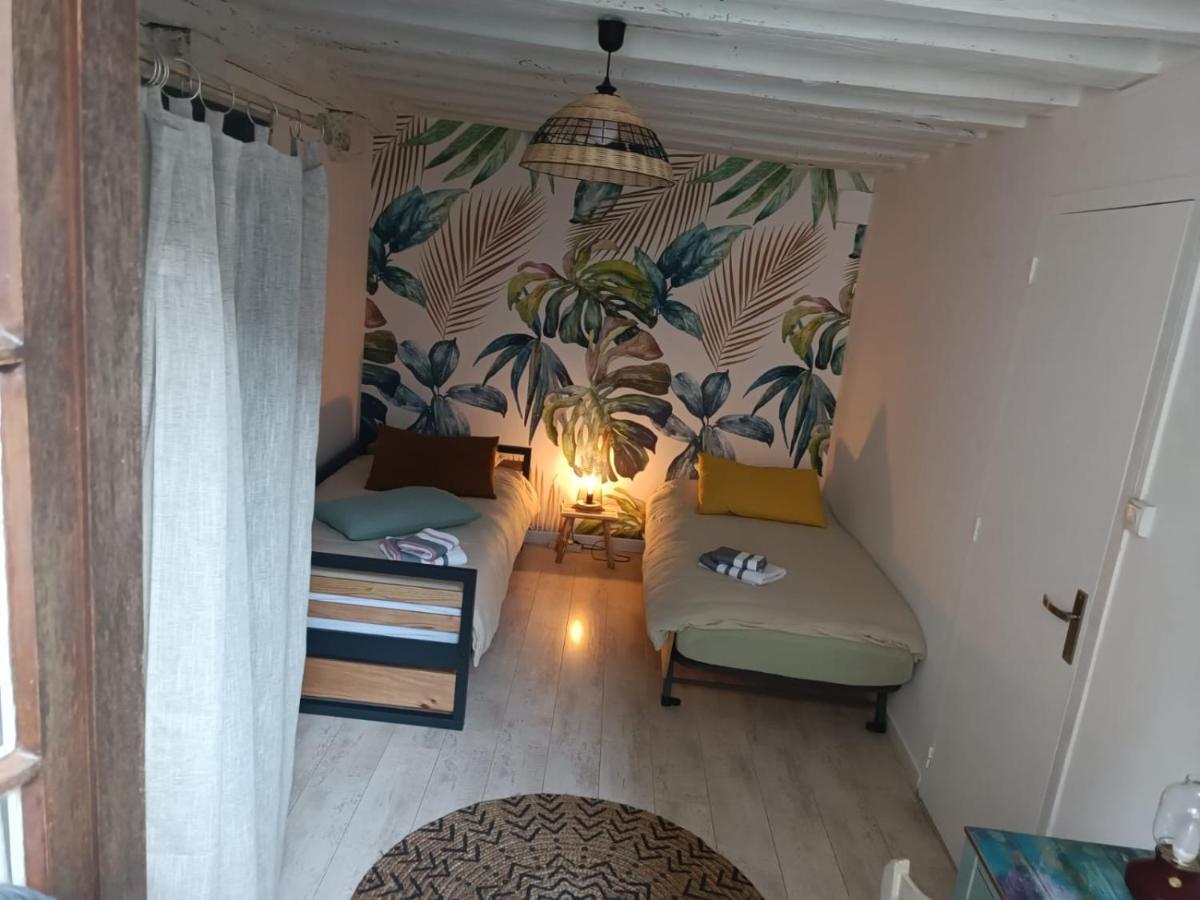 Le Logis De La Rue Des Arts Apartment Blois Ngoại thất bức ảnh
