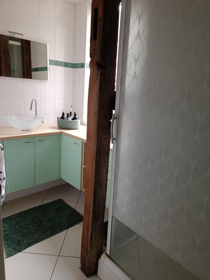 Le Logis De La Rue Des Arts Apartment Blois Ngoại thất bức ảnh