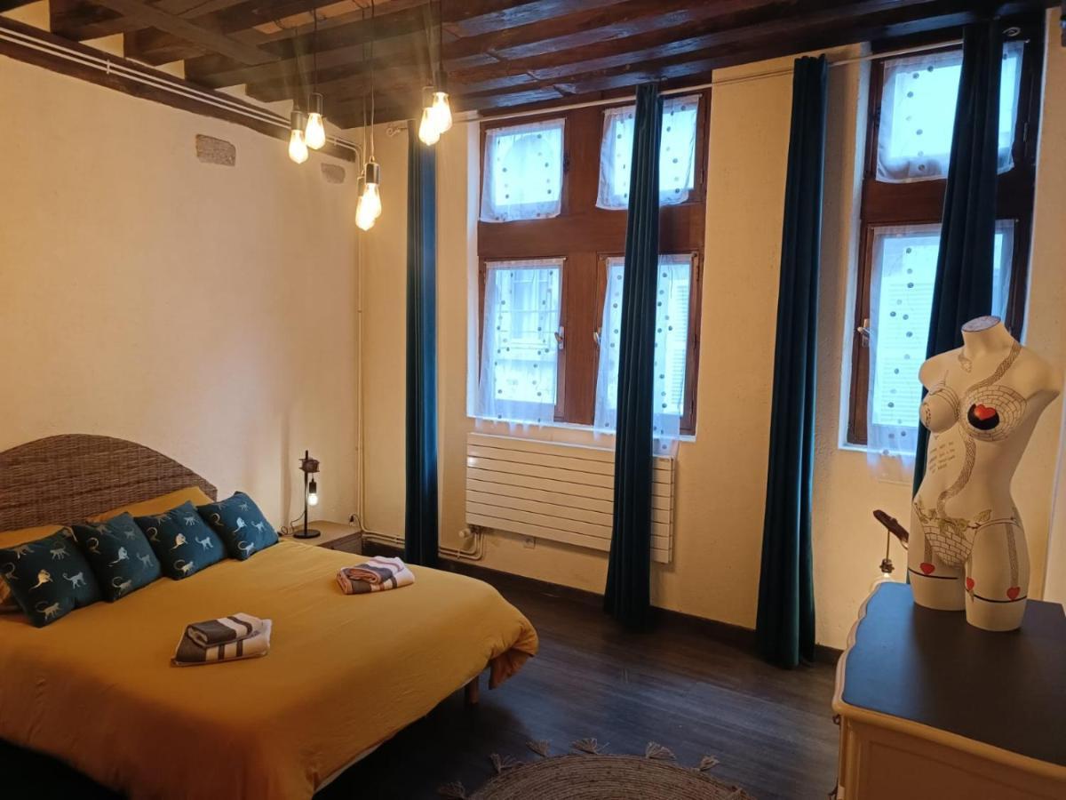 Le Logis De La Rue Des Arts Apartment Blois Ngoại thất bức ảnh