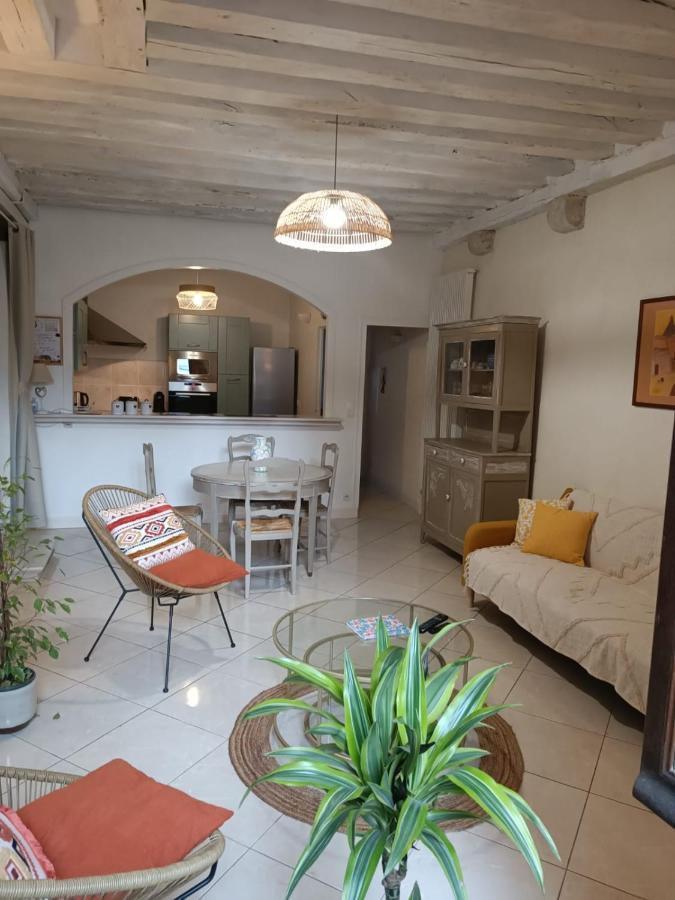 Le Logis De La Rue Des Arts Apartment Blois Ngoại thất bức ảnh